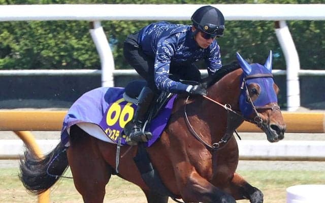 【大阪杯】テイオーの血を引くレーベンスティールがＧ１奪取だ　田中博調教師「満足のいく状態で送り出せます」