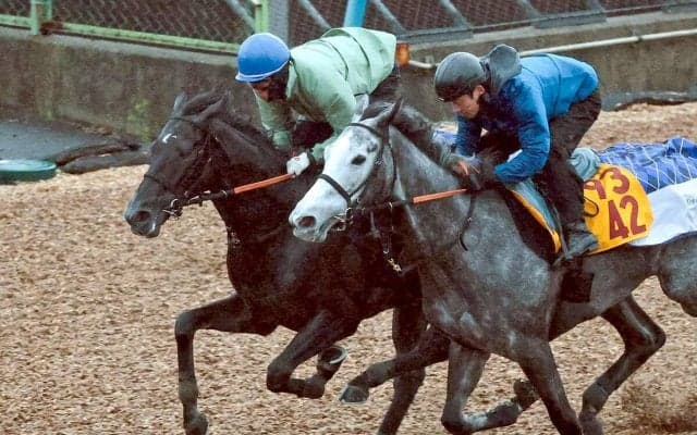 【皐月賞・２週前】ゾロアストロは力強い走りで好調アピール　宮田調教師「十分にチャンスはあると思います」