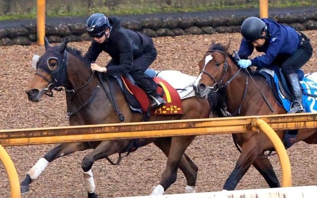 【桜花賞・１週前】アイニードユーは加速ラップでしっかり先着　吉村調教師「すごく成長しているのかな」
