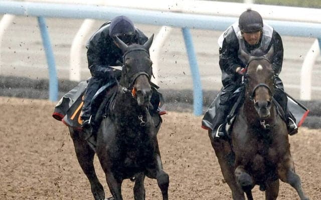 【皐月賞・２週前】報知杯弥生賞２着のライヒスアドラーは軽めの併入　上原佑調教師「一回使って良くなっています」
