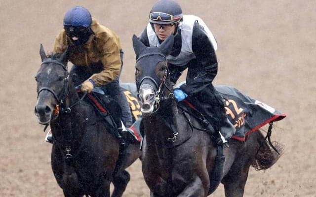 【皐月賞・２週前】上原佑厩舎のグリーンエナジー、フォルテアンジェロが併せ馬　「このままいってほしい」