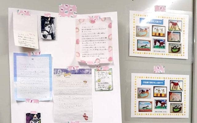 【船橋競馬】１０歳を迎えたＪＢＣクラシック優勝馬　誘導馬の現在は幼稚園生とのふれあいも