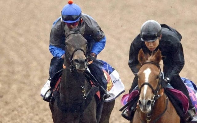 【桜花賞・１週前】ルールザウェイヴは折り合いに進境　原優介騎手「落ち着いています」