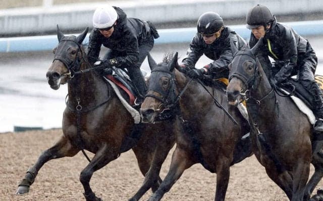 【桜花賞・１週前】一番時計をマークし先着したショウナンカリスに加藤士調教師も手応え「うまくやれました」