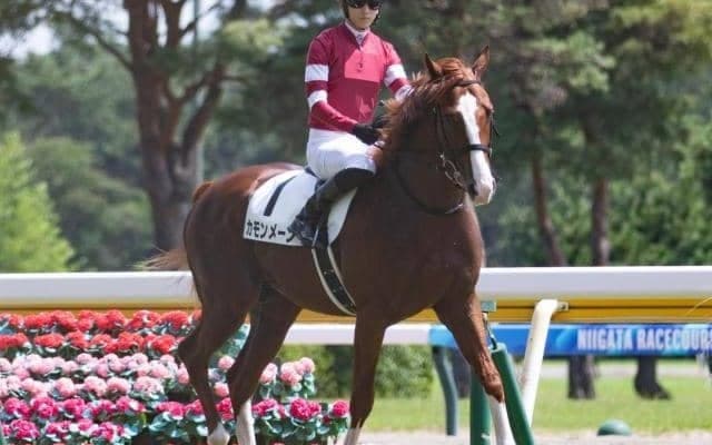 「ウマ娘」藤田晋オーナーの1.6億円馬 カモンメーンが初勝利なるか