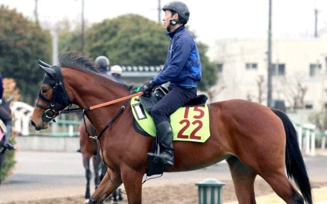 【ＰＯＧ】名牝アーモンドアイを伯母に持つ良血馬ユタライトがゲート試験に合格　宮田調教師「優等生ですね」