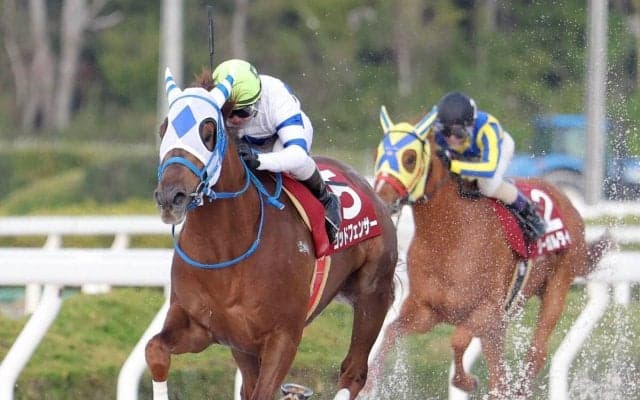 【菊水賞】ゴッドフェンサーが兵庫３冠初戦を５馬身差で圧倒　昨年３冠馬オケマルの盛本調教師「狙いたい」