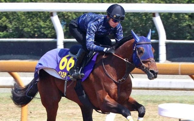 【大阪杯】Ｇ１初制覇狙うレーベンスティールが栗東滞在効果で落ち着き十分　田中博調教師「いい内容」