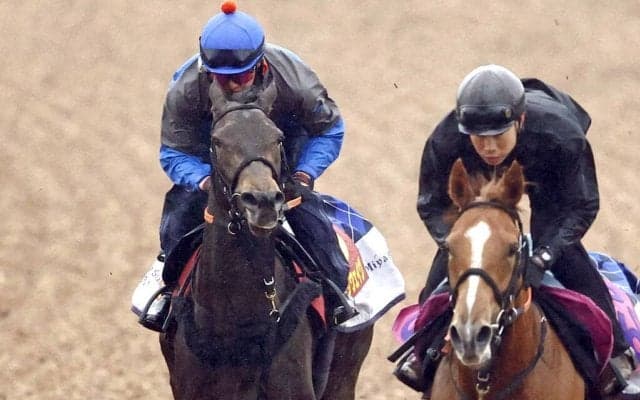 【桜花賞】ルールザウェイヴ落ち着き十分　馬なり併入に原優介騎手「ちょうどいいあんばい」