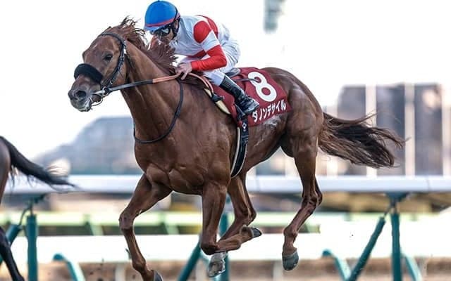 【大阪杯枠順確定】ダノンデサイルは3枠4番、クロワデュノールは8枠15番