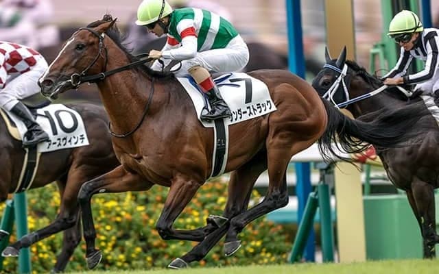 【チャーチルダウンズC枠順確定】サンダーストラックは4枠6番、アンドゥーリルは5枠8番