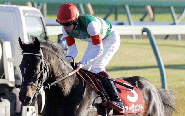 【ダービー卿ＣＴ】重賞初制覇を狙うファーヴェントは４枠８番　京都金杯勝ち馬のブエナオンダは３枠５番　枠順確定