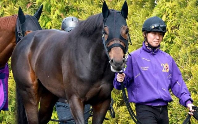 【大阪杯】３枠５番のショウヘイは雨の影響残りそうな馬場にも前向き　友道調教師「極端な時計勝負になるよりは…」