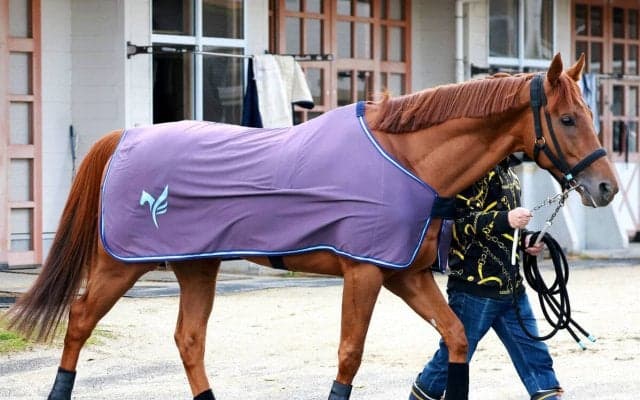 【大阪杯】ダノンデサイルはダービーＶと同じ赤帽の３枠　作戦は...安田調教師「ジョッキーと相談して決めます」