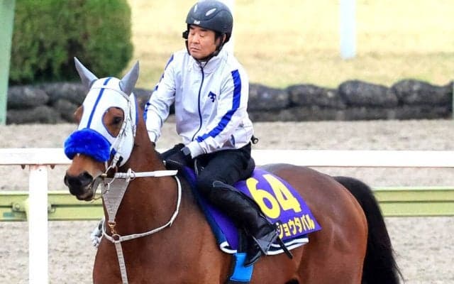【大阪杯】「あとはユタカにお任せ」阪神の“鬼”メイショウタバルは４枠６番から逃走Ｖだ　石橋調教師「極端な枠でなくて良かった」