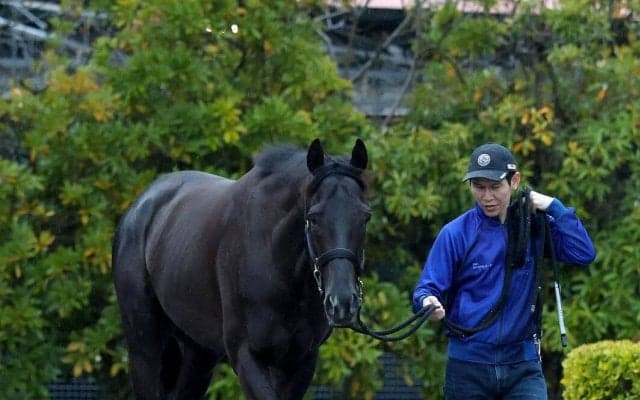【大阪杯】昨年の日本ダービー馬クロワデュノールはまさかの大外１５番枠も　斉藤崇調教師「スタートもいい方なので...」
