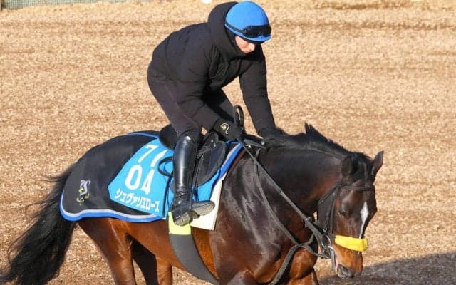 重賞２勝シュヴァリエローズが現役引退　右前内側種子骨じん帯炎を発症