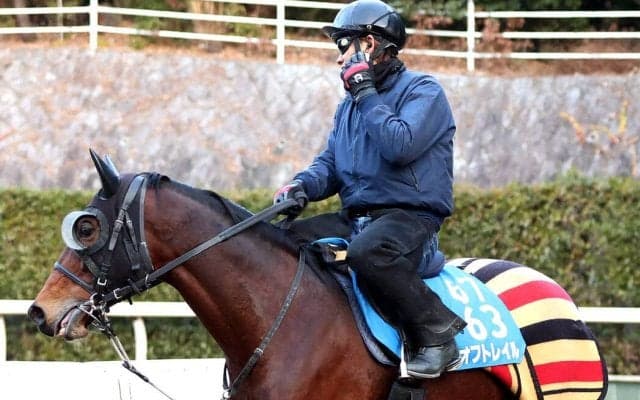 【注目馬動向】昨年のスワンＳ勝ち馬オフトレイル　岩田望来騎手との新コンビで読売マイラーズＣへ