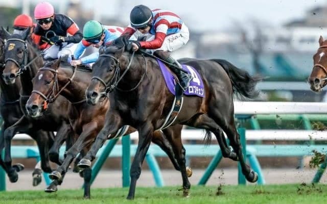 【皐月賞想定馬・騎手】ロブチェン、パントルナイーフなど18頭