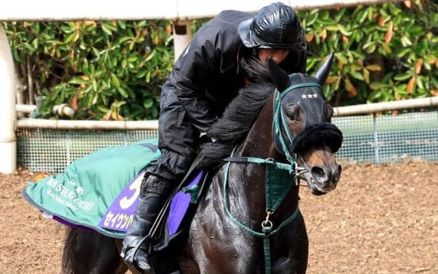 【大阪杯】「外が良かったですね…」橋口調教師は苦笑い　作戦も明かす！？　２枠３番からスタートのセイウンハーデス　