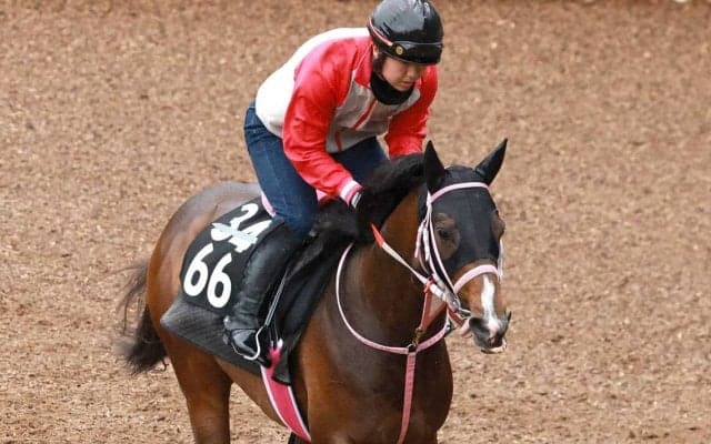 【チャーチルダウンズＣ】良血馬バルセシートが前日に急きょテコ入れ決断　松下調教師「操作性を高めるという意図」