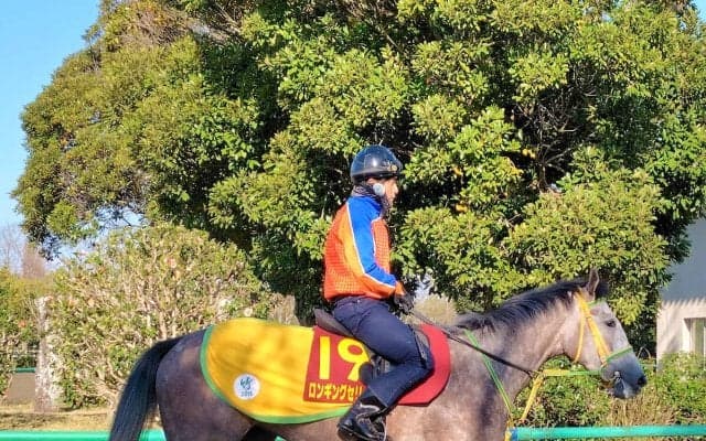 【桜花賞・１週前】ロンギングセリーヌが坂路で小気味いいフットワーク　竹内調教師「落ち着いていますし…」