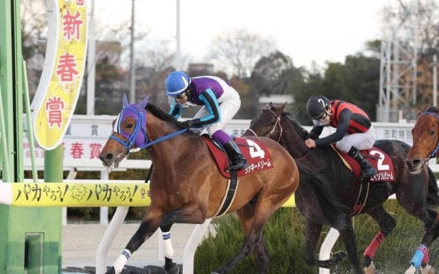 兵庫のラッキードリームが浦和へ移籍　２０年ＪＢＣ２歳優駿など重賞１３勝　野田オーナーがＸで明かす