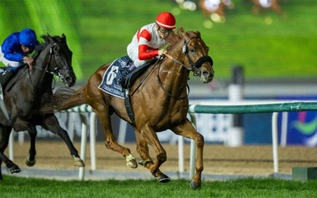 【大阪杯】ダノンデサイルは520kg…出走馬の調教後の馬体重