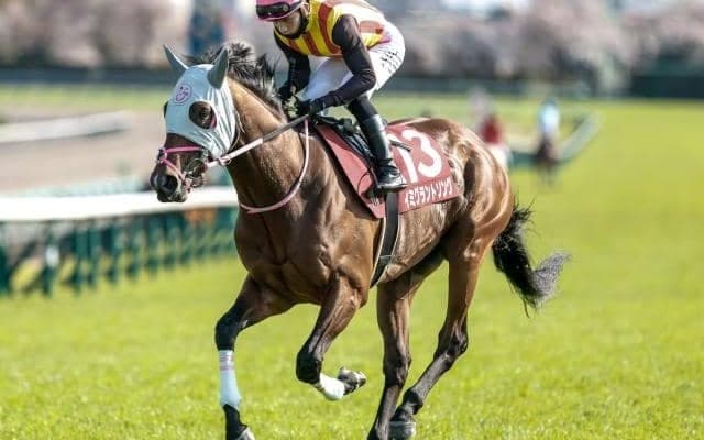 【今日の注目ポイント】中山でダービー卿CTと阪神でチャーチルダウンズC