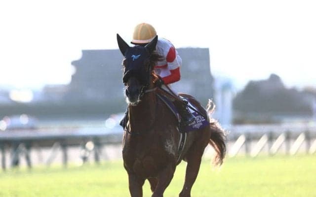 【大阪杯】ダノンデサイルは3枠4番、クロワデュノールは大外へ