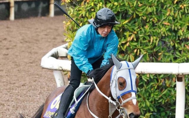 【大阪杯】５戦連続で武豊騎手とコンビのメイショウタバルは元気よく前日調整　石橋調教師「いつも通りの雰囲気」