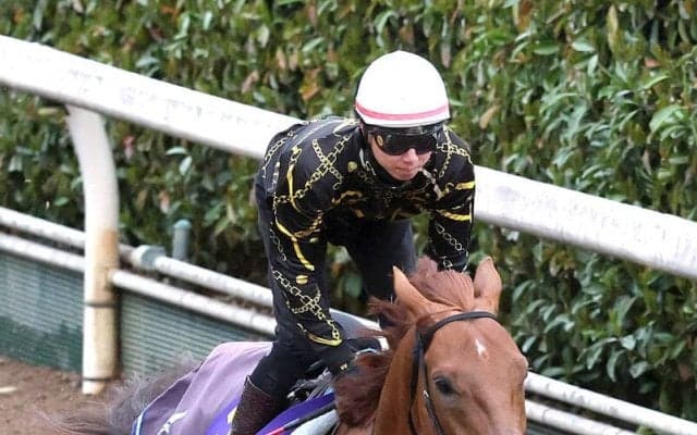 【大阪杯】ダノンデサイルは落ち着き十分に坂路を駆け上がる　安田調教師「今のところは変わらず来られています」