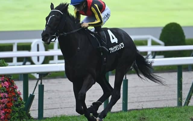 【アザレア賞結果】ブラックオリンピアが好位から抜け出し2連勝