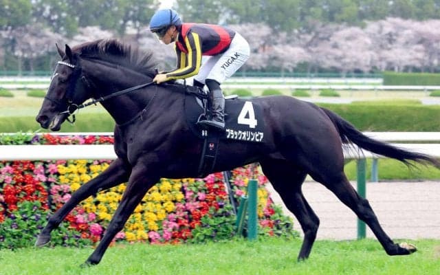 【阪神９Ｒ・アザレア賞】２番人気ブラックオリンピアが大きな２勝目　「ダービーに一歩近づきました」と友道調教師