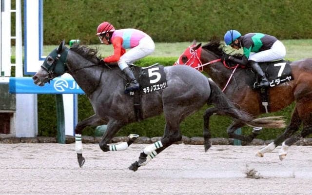 【阪神１０Ｒ・ポラリスＳ】キタノズエッジが直線一気でオープン２勝目　古川吉洋騎手「最後、もうひと伸びきましたね」