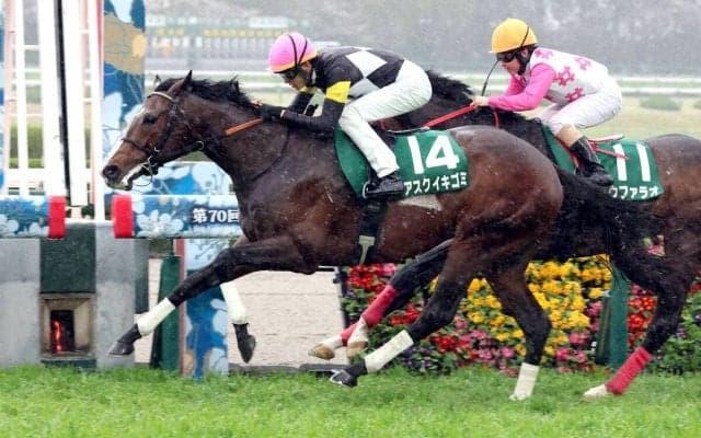 【チャーチルダウンズＣ】３連単は１６４万円超！大外枠アスクイキゴミが無傷２連勝　坂井瑠星騎手「Ｇ１でもチャンス」