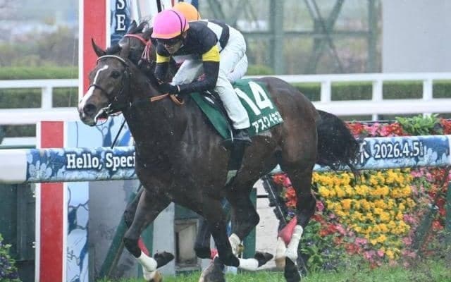 【チャーチルダウンズC結果】アスクイキゴミが無傷の2連勝で重賞初制覇