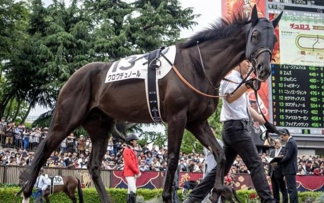 【大阪杯前日オッズ】クロワデュノールが2.5倍で1番人気