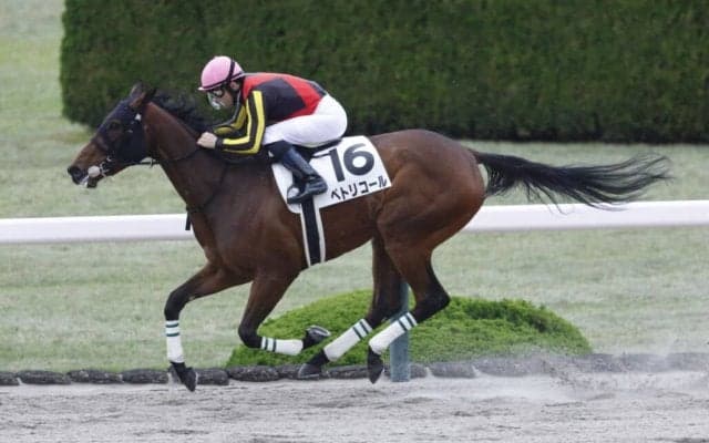 【阪神1R】ジャスティファイ産駒 ペトリコールが快勝