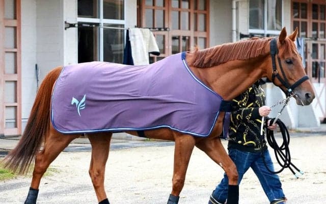 【大阪杯・特選有力馬チェック】国内外Ｇ１・３勝目を目指すダノンデサイルは買うべき？　