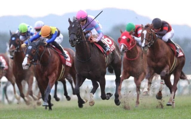 ナムラクレアが引退…高松宮記念3年連続2着など