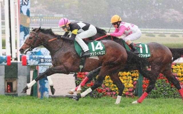 【チャーチルダウンズカップ】坂井瑠星も絶賛「Ｇ１でもチャンス」アスクイキゴミが２１年ぶりのキャリア最少Ｖ