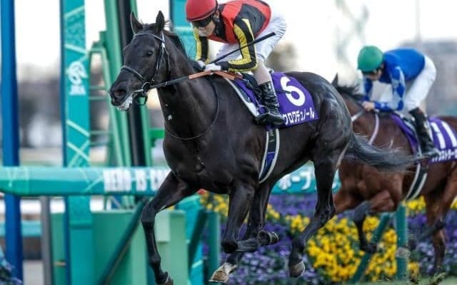 【今日の注目ポイント】春の中距離王決定戦・大阪杯