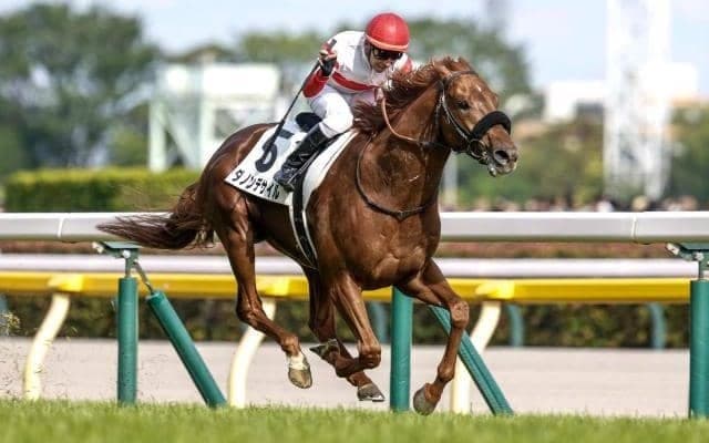 【大阪杯予想】春の中距離王者決定戦 瞬発力よりも持久力重視で