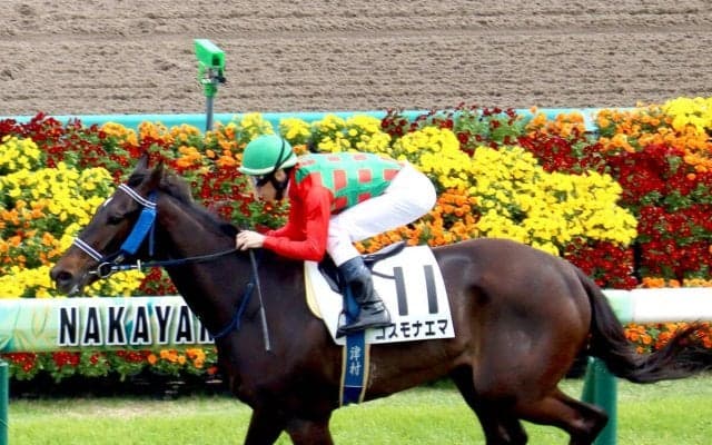 【中山５Ｒ】有馬記念激走のコスモキュランダ半妹が待望の初勝利　コスモナエマに好感触の津村明秀騎手「体も心も成長」