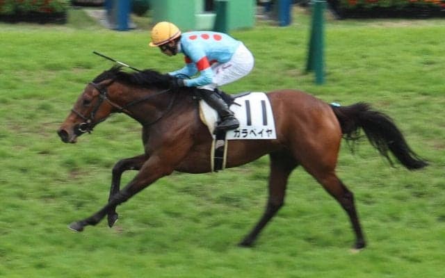 【中山７Ｒ・３歳１勝クラス】ガラベイヤが驚がくの末脚で２勝目　丸山元気騎手「いいはじけっぷり」