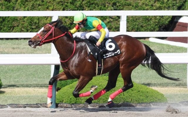 【阪神９Ｒ・バイオレットＳ】エコロレーヴが鮮やか逃げ切り　今後は世代スプリント王決める北海道スプリントＣが大目標