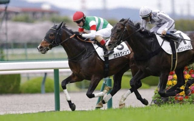 【阪神6R】良血エボルヴィングが2勝目…リスグラシュー全弟