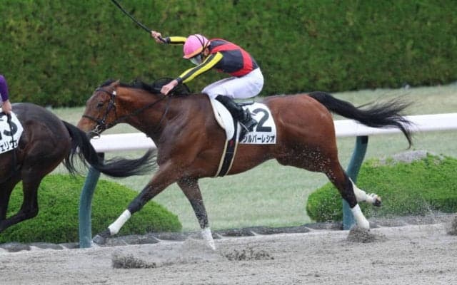 【阪神5R】シルバーレシオが人気に応えて2勝目