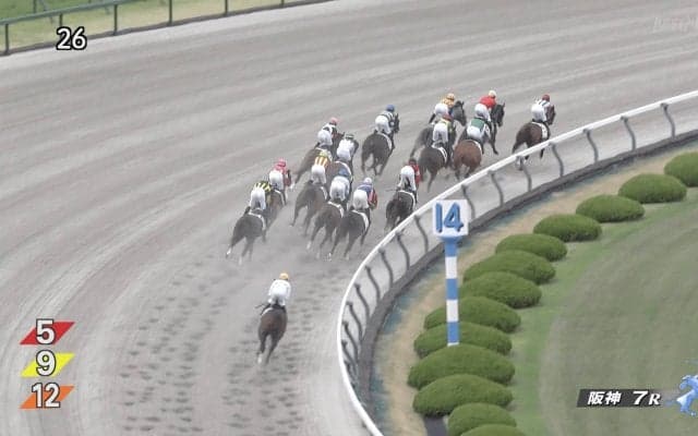 「もはや芸術」最後方でポツン→直線だけで“全頭ごぼう抜き”…横山典弘が見せた“神騎乗”に競馬ファン大歓喜「お家芸」「これだからやめられない」